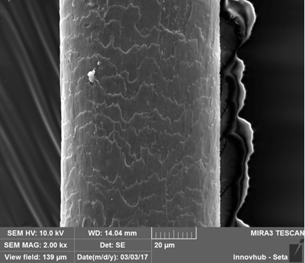 손상보호 셀프탈색약 ‘에슬라본덱스’ 일반판매 시작