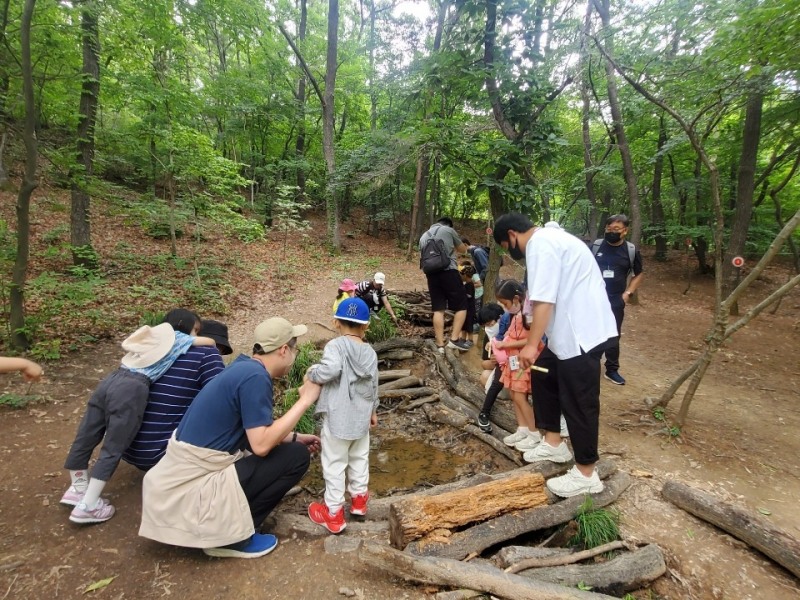 대전유아교육진흥원, '아빠랑 나랑 숲속놀이' 프로그램 운영