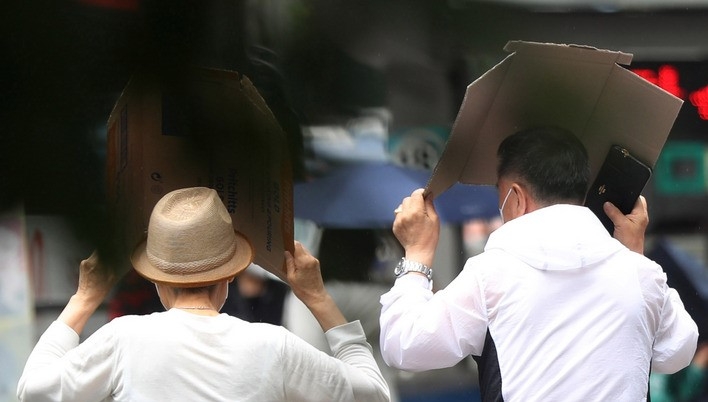 소나기가 내린 지난 9일 오후 서울 중구 명동거리에서 시민이 박스를 우산삼아 머리를 가린채 발걸음을 재촉하고 있다.