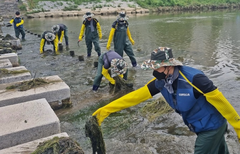 컴투스 그룹, 안양천 생태 환경 보존 위한 봉사 활동 전개