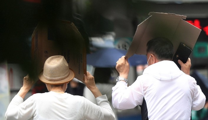 소나기가 내린 지난 9일 오후 서울 중구 명동거리에서 시민이 박스를 우산삼아 머리를 가린채 발걸음을 재촉하고 있다.