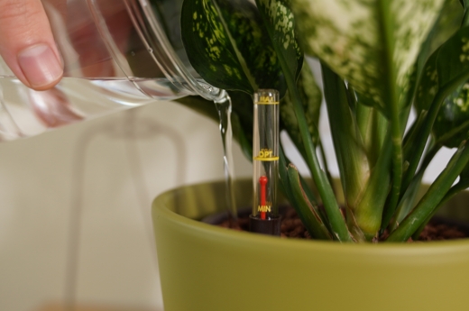 커지는 ‘반려식물’ 시장 속 플랜테리어 업계 고급화 트렌드 자리잡아