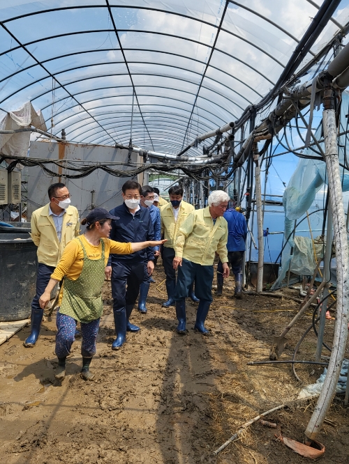 이재식 농협중앙회 부회장(가운데)은 1일 경기 평택지역 집중 호우 피해농가를 방문하여 시설하우스 침수피해 상황을 점검하고 있다.