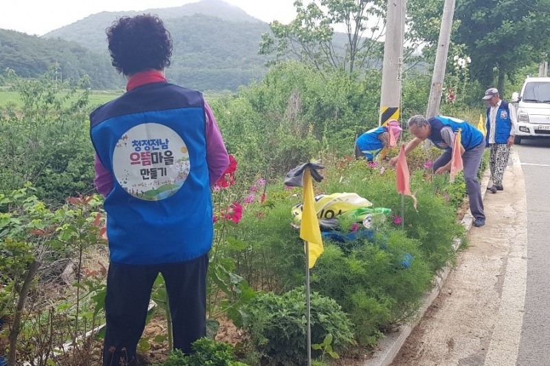보전마을 주민들이 으뜸마을 사업을 추진하는 모습 (사진제공 = 함평군)