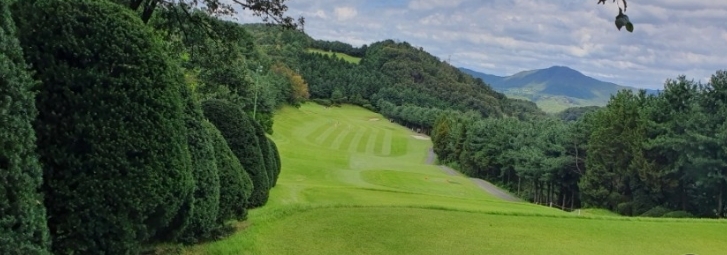 퍼블릭 골프장 가운데 가장 비거리가 긴 올림픽CC 6번홀 전경.