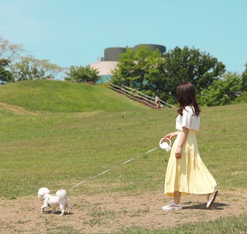 유환아이텍, 아이리 강아지 자동 리드줄 정식 출시