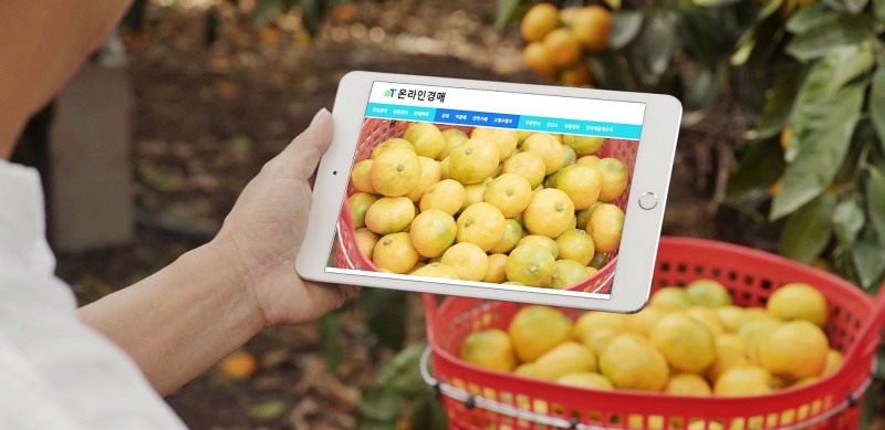 사진제공=농수산식품유통공사