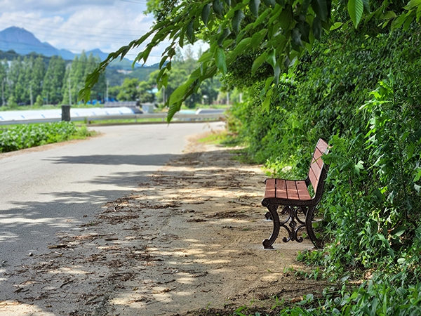 마을 산책길에 벤치가 설치 된 모습 (사진제공 = 담양군)