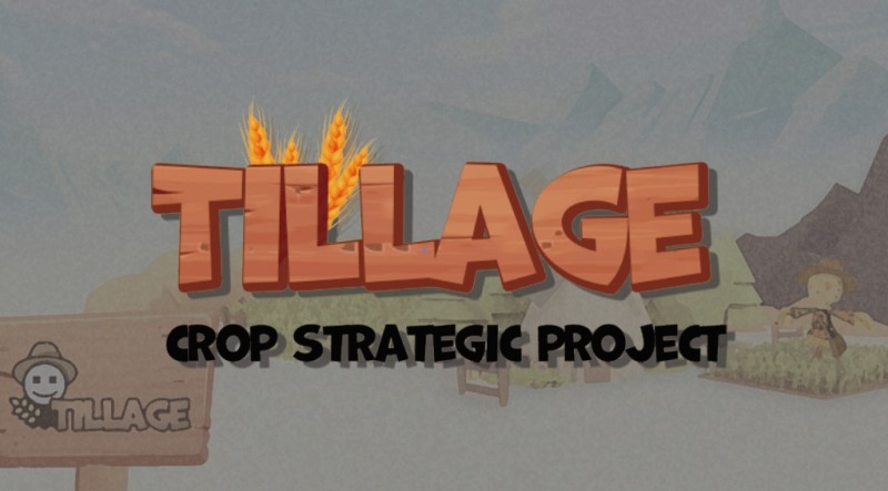 틸리지, 7월 실물기반 NFT ‘Till’ 출시