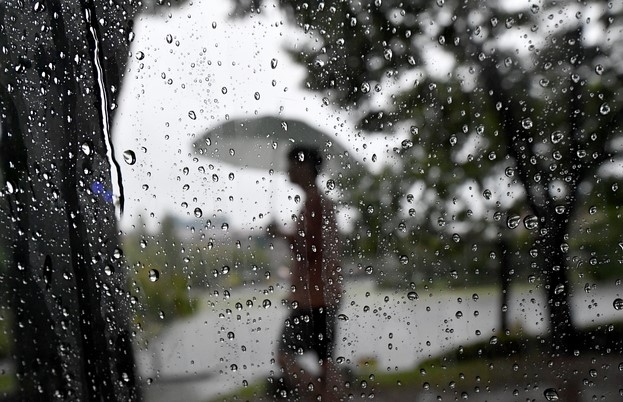 광주 북구 용봉동 전남대 교정에 비가 내리고 있다.