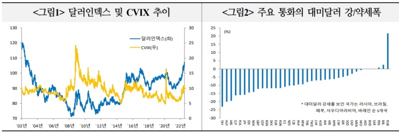 강달러 심화될 경우 역환율전쟁 발발 가능성 있어 - 국금센터