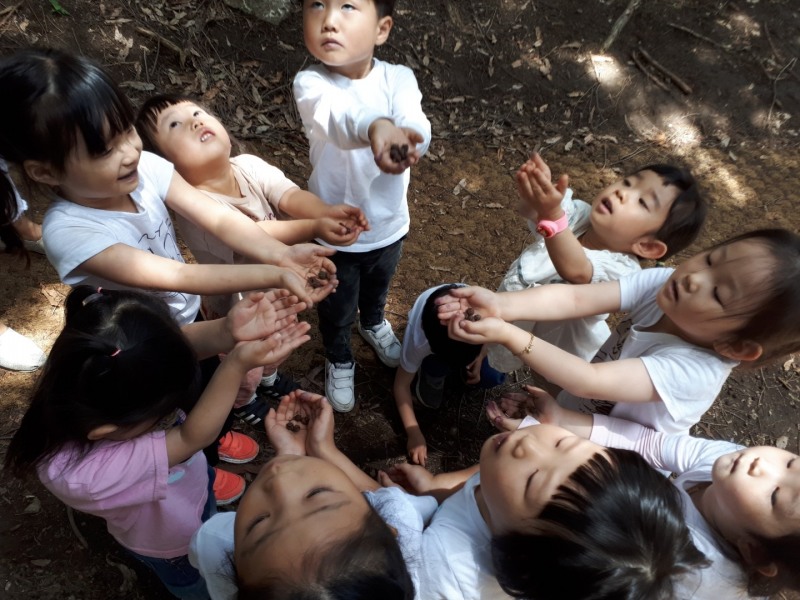 2021년도 숲 해설 프로그램에 아동들이 참여해 산림교육을 받는 모습 (사진제공 = 화순군)