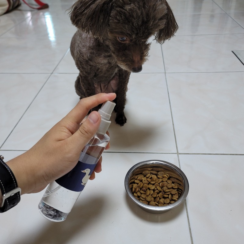 사료 기호성 강화 및 스트레스 완화를 위한 향 추출 스프레이