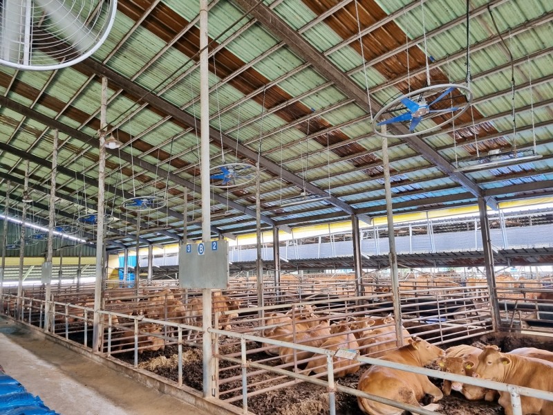 정읍시가 여름철 폭염 대비 가축 피해 예방관리에 나섰다. (사진제공 = 정읍시)