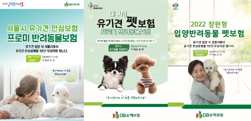 DB손보, 지자체들과 맞손잡고 '유기견 안심보험' 시행