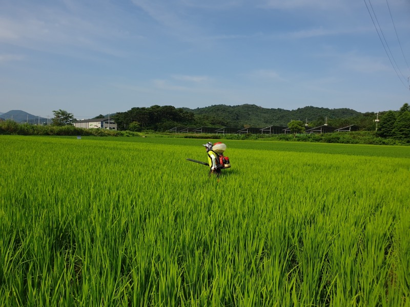 정읍시 농업기술센터는 농작물 피해를 최소화하고 농가의 소득안정을 위해 병해충 사전 방제사업을 추진한다. (사진제공 = 정읍시)