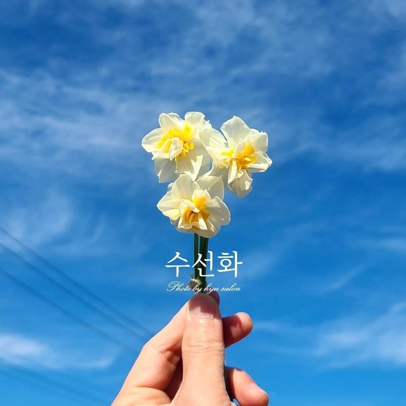 사진=제프리 킴 제공
