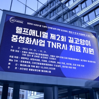 (사)동물보호단체 헬프애니멀 제2회 길고양이 중성화사업 TNR시 치료지원 외부 광고