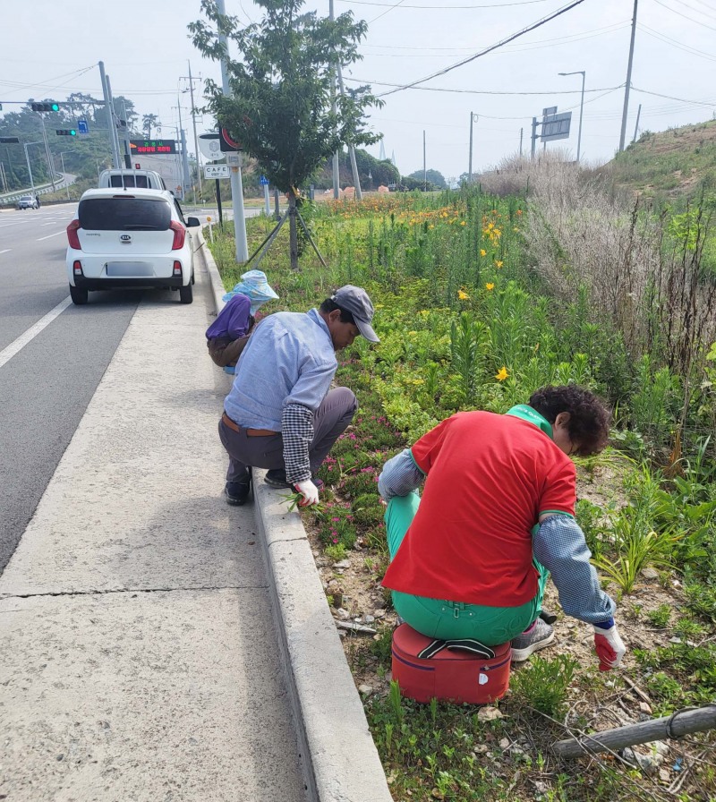 무안군은 하반기 재정지원 일자리사업을 개시한다. (사진제공 = 무안군)