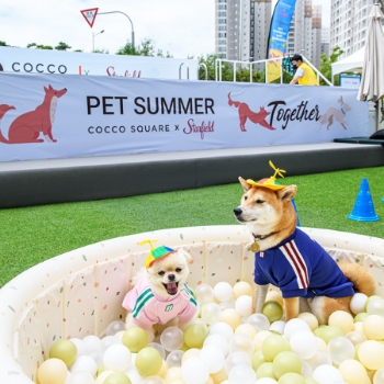 펫 프렌들리 쇼핑테마파크 스타필드 하남이 여름 휴가철을 맞아 무더위를 해소할 반려견 전용 워터파크 ‘스타필드 펫터파크’를 오는 15일까지 운영한다. 이번 행사는 물 속에서 수영과 마사지를 즐기는 ‘아쿠아 피트니스’, 신체 발란스를 교정하는 ‘멍바디&독 피트니스’ 등 다양한 프로그램으로 구성됐다. 사진은 스타필드 하남에서 진행 중인 ‘스타필드 펫터파크’에 방문한 강아지들이 놀고 있는 모습.