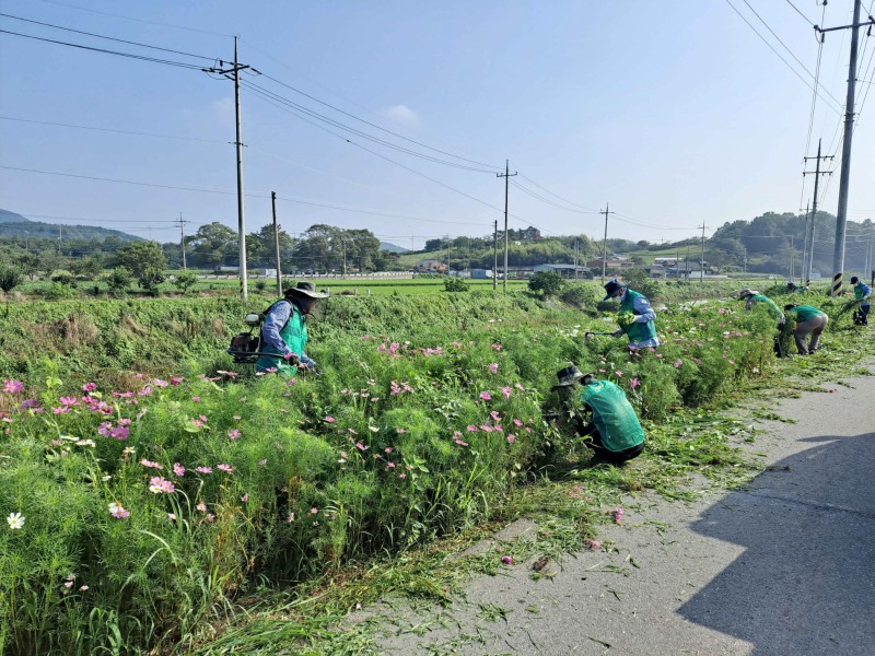 지난달 28일 실시 된 환경정비 활동 모습 (사진제공 = 무안군)