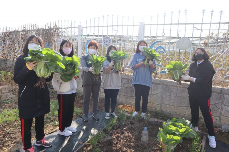 경북교육청, ‘학교텃밭 활동’ 프로그램 15교 선정