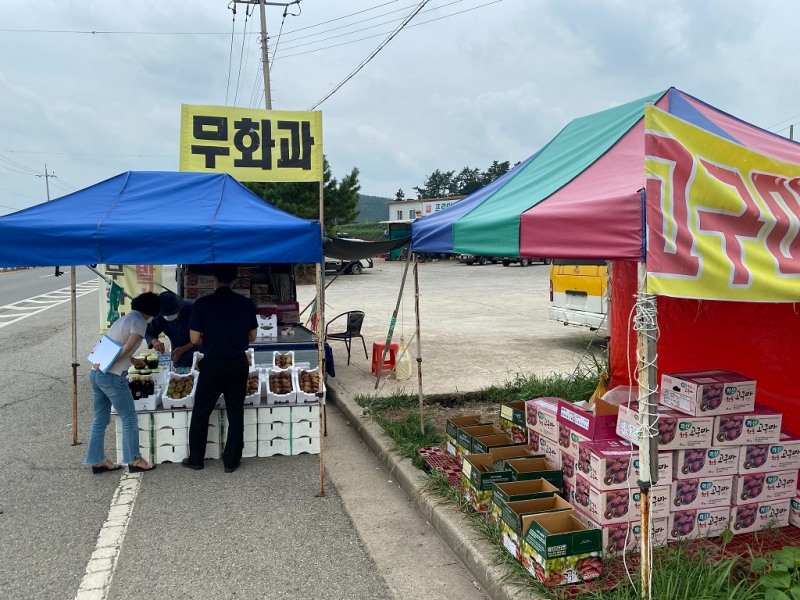 해남군은 주요 관광지 도로변 농산물 판매장을 대상으로 원산지표시 특별 단속을 실시한다. (사진제공 = 해남군)