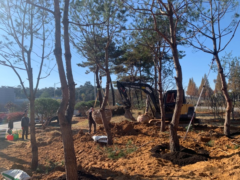 화순읍 감도리 나무은행에 수목을 옮겨심는 모습 (사진제공 = 화순군)