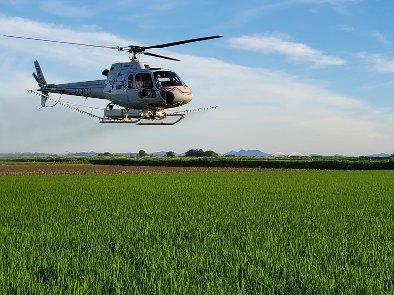 유인헬기 방제 모습 (사진제공 = 해남군)