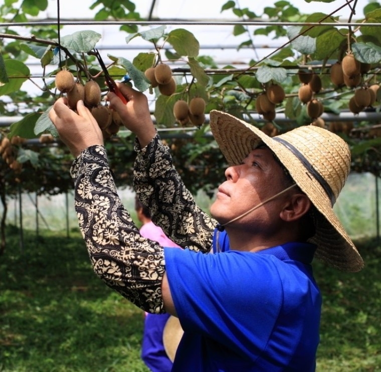 박성관 명인 (사진제공 = 해남군)
