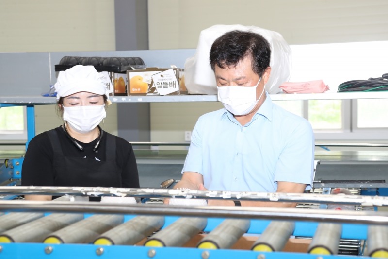 정읍배가 인도네시아 수출에 올랐다. (사진제공 = 정읍시)