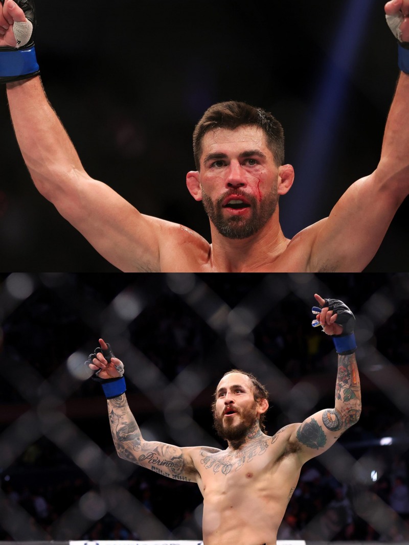 타이틀 샷을 위해 서로가 반드시 넘어야 할 상대. 도미닉 크루즈(위)와 말론 베라(사진=UFC)