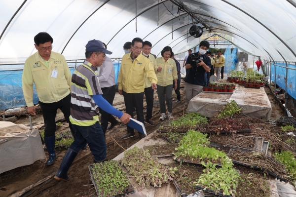 이성희 농협중앙회장, 집중호우 피해 농업현장 점검