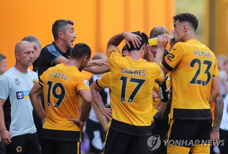 울버햄튼 선수들