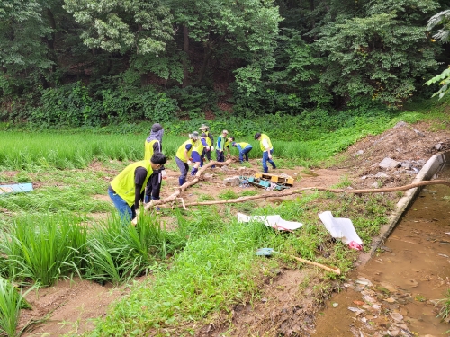 농협중앙회 IT전략본부 직원들이 17일 경기 의왕시 오전동 소재 집중호우 피해 농가를 찾아 토사에 휩쓸려 쓰러진 벼를 세우고 잔해물 수거와 수로를 정비하는 등 복구작업을 펼쳤다. / 사진 제공 = 농협중앙회