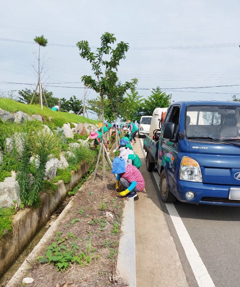 무안군 운남면 환경정화 활동 모습 (사진제공 = 무안군)
