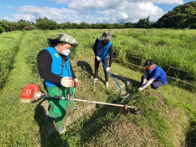 농협, 추석 앞두고 '벌초대행 서비스' 운영