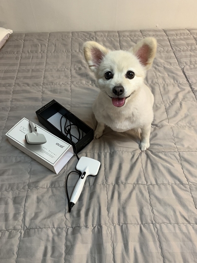 펫스타일러, 여름철 진드기 위험 증가에 따른 재고 추가 확보