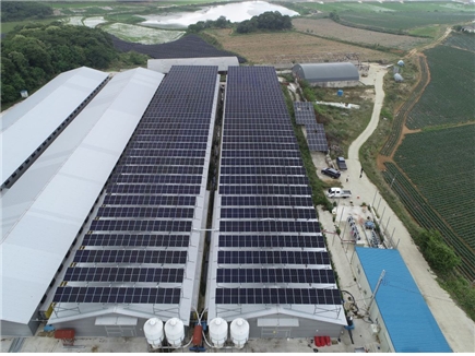 창조 태양광발전소