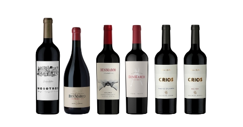 왼쪽부터 노소트로스 2019(Nosotros 2019) 벤 마르코 익스프레시보(Ben Marco Expresivo) 벤 마르코 신 리미테스 괄탈라리 말벡(Ben Marco Sin Limites Gualtallary Marbec) 벤 마르코 말벡(Ben Marco Malbec) 크리오스 까베르네 소비뇽(Crios Cabernet Sauvignon) 크리오스 말벡(Crios Malbec) 순