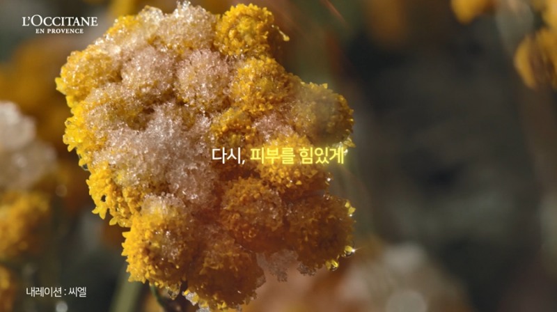 록시땅, ‘이모르뗄 리셋 세럼’ 캠페인 내레이션 모델로 가수 씨엘 발탁