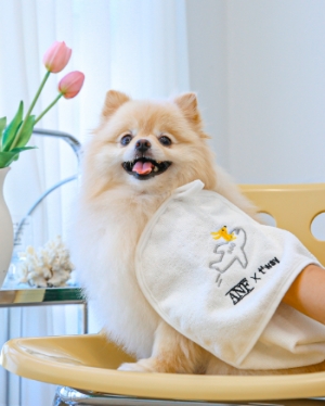 티웨이항공, 한가위 앞두고 반려동물 동반 탑승객에 ‘트래블키트’ 선물