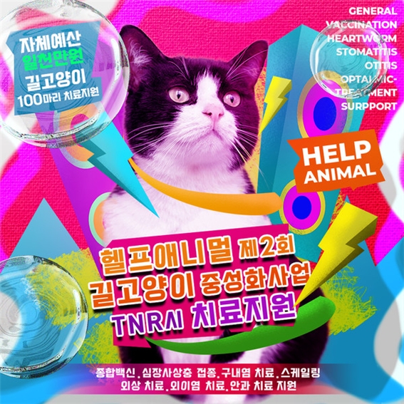 동물보호단체 헬프애니멀, 제2회 길고양이 중성화사업 TNR시 치료지원