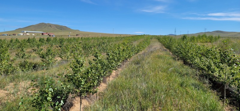 몽골수원의숲 전경(사진=수원시)