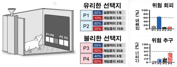 도박성게임동물모델.각기다른확률로보상과처벌을제시했을때,위험회피군은유리한선택지를,위험추구군은불리한선택지를더많이선택한다.