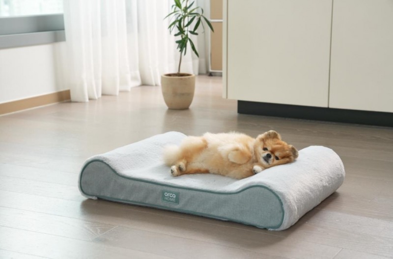 오르카홈펫, 신소재 에어코일 커브형 강아지 매트리스 국내 출시