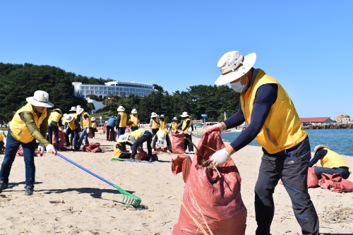 지난 24일, Sh수협은행 사랑海봉사단 임직원들이 강원도 양양군 낙산해수욕장과 낙산어촌계를 찾아 태풍의 영향으로 해안가에 유입된 각종 해양쓰레기 약 600포대를 수거했다. (사진 오른쪽 첫 번째) 해양쓰레기를 수거하는 김진균 은행장.