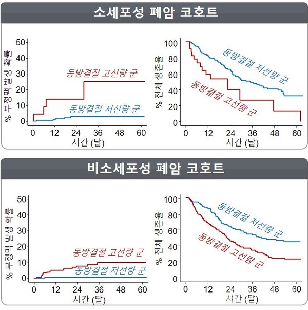 소세포성폐암코호트(위그림)에서동방결절에선량이높은경우심방세동발생이25%로선량이낮았던환자군(2.7%)에비해높게나타났다.비소세포성폐암코호트에서도역시동방결절선량이높은경우심방세동발생이9.9%로선량이낮았던환자군(0.7%)에비해높게나타났다.