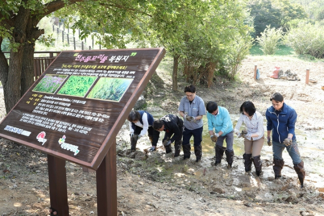 효성첨단소재, 전주시·국립생태원과 ‘전주물꼬리풀’ 복원
