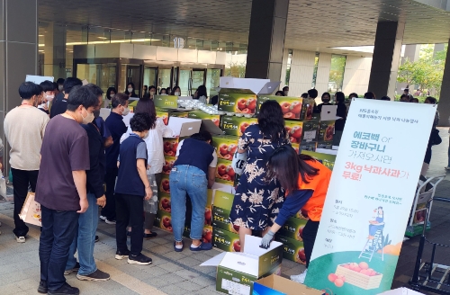 NS홈쇼핑이 29일 판교 본사에서 2톤분량의 낙과 사과 나눔 행사를 실시했다.